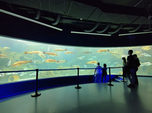 Aquarium Heraklion Crete